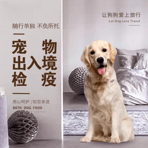 乐东县宠物托运到哥伦比亚猫狗宠物入境规定和