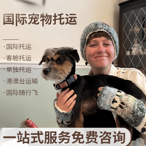 乐东县国际宠物托运到阿根廷宠物入境规定和要