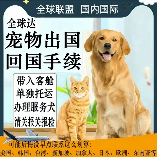 乐东县宠物托运到柬埔寨宠物入境规定和要求