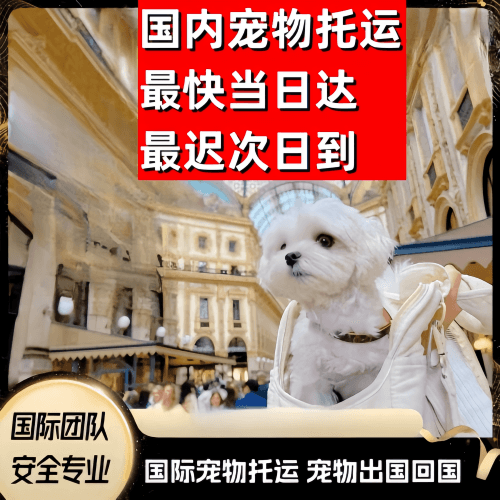 乐东县到澳大利亚（澳洲）宠物入境规定和要求